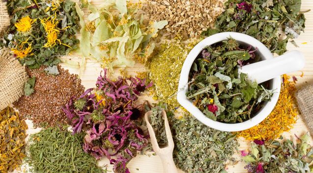 Plantas medicinais ajudando na luta contra o diabetes mellitus